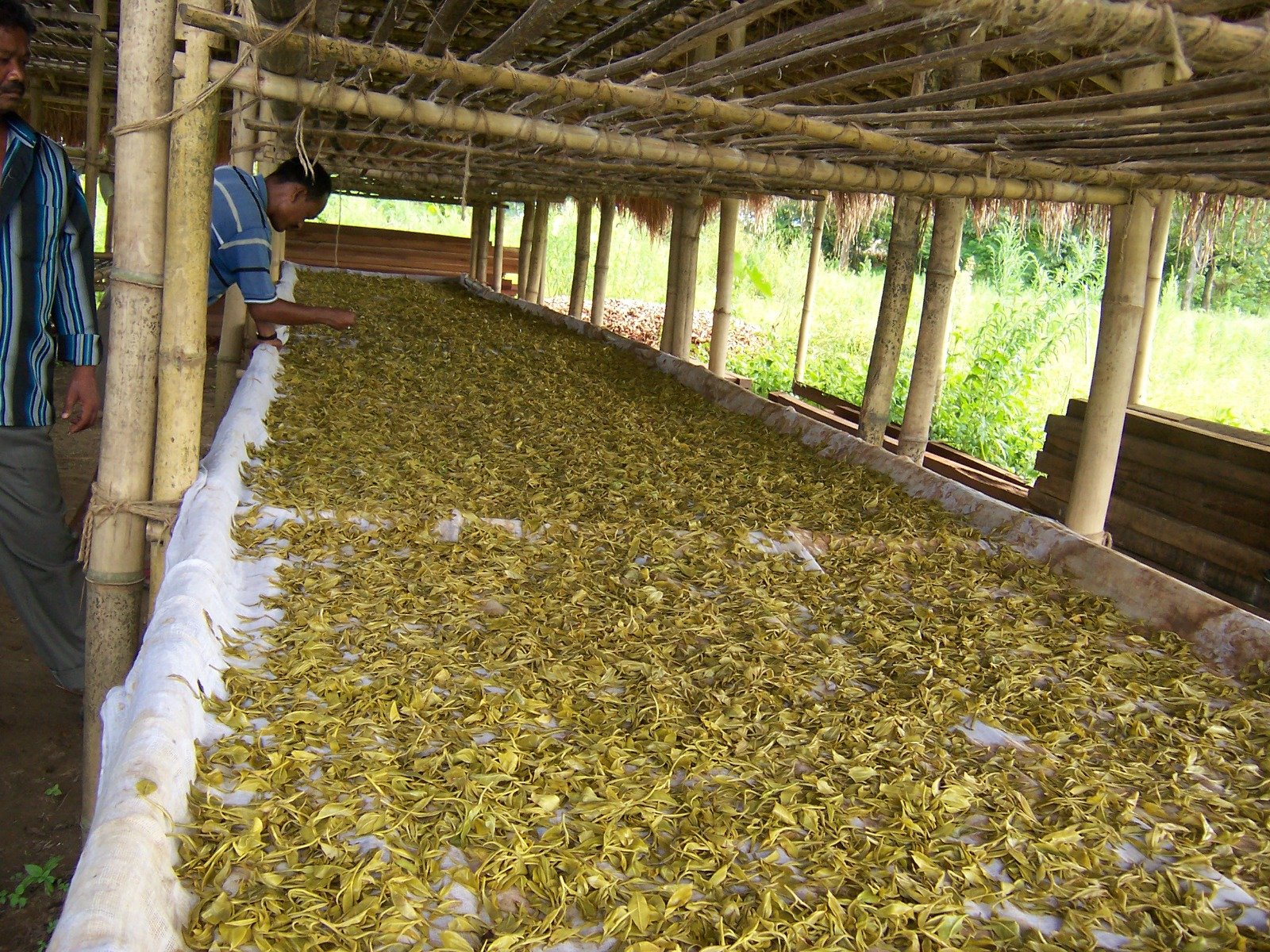 Click to view Artisan Processing