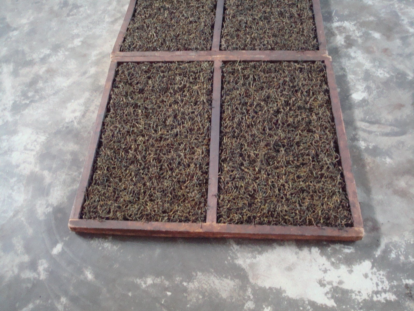 Organic & Vedic Methods - Tea Leaves